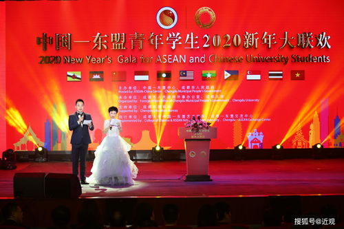 文化共融 青年筑梦 中国-东盟青年学生2020新年大联欢在成大绽放友谊之花
